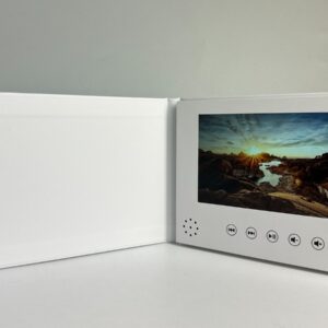 Videobog
